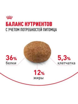 Sterilised 7+ Корм для кошек старше 7 лет 3,5кг