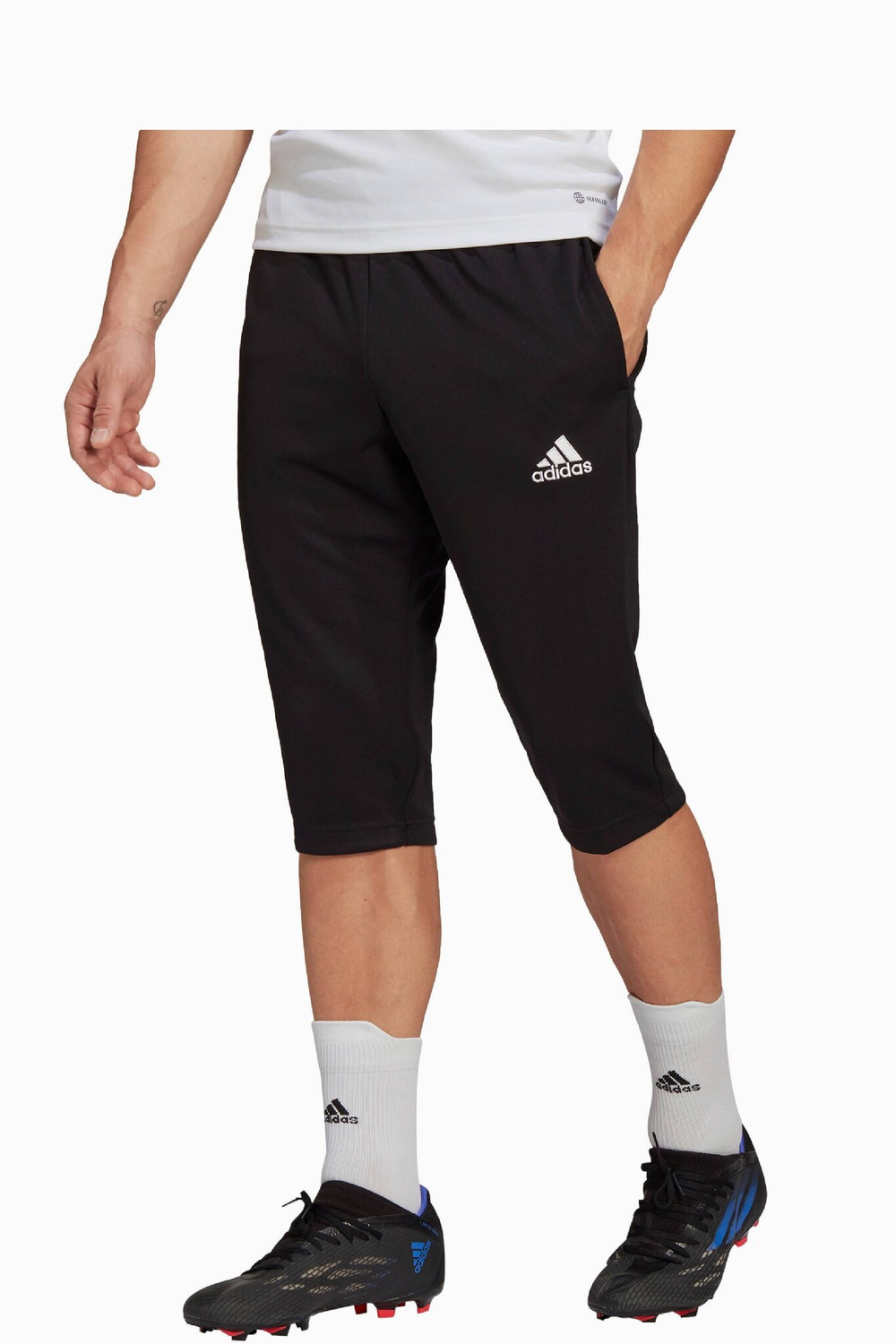 Штаны adidas Entrada 22 3/4