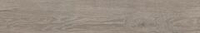 Ocean Ceramic Wood Sweden Natural 20x120