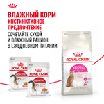 Royal Canin Protein Exigent Протеин Экзиджент Корм сухой для взрослых кошек привередливых к белку в составе старше 1 года 4кг