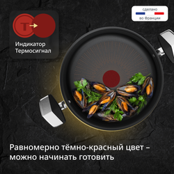 Кастрюля с крышкой Tefal Excellence Fusion 24 см G3414602