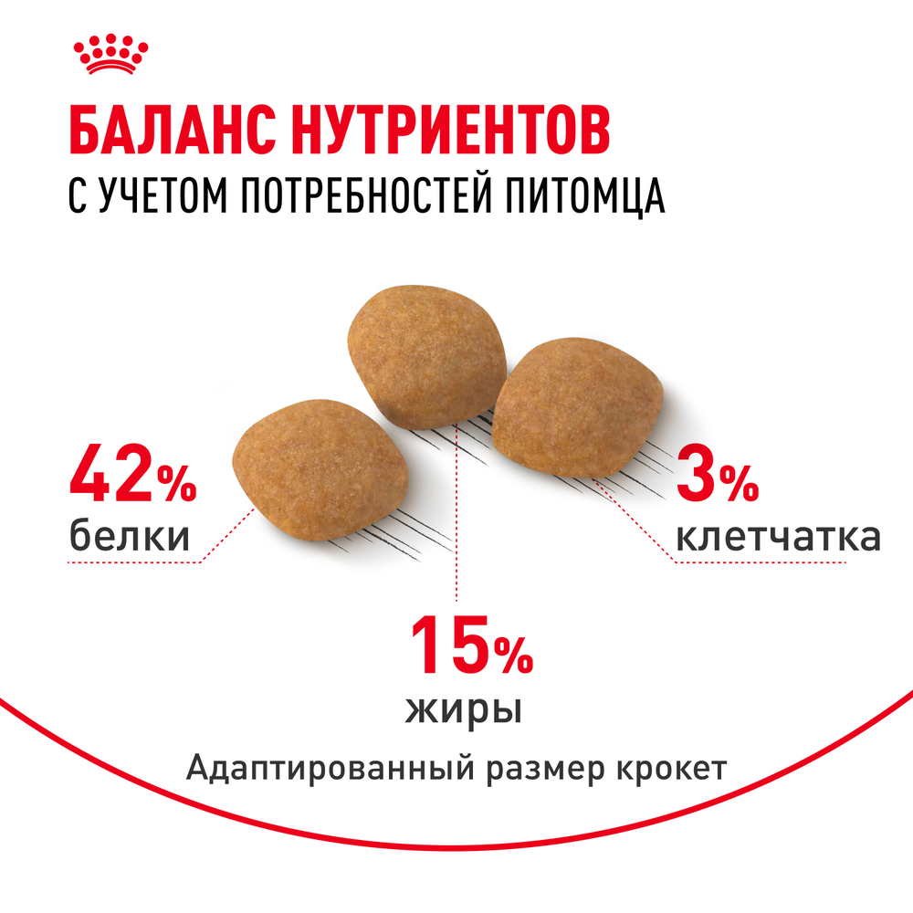 Сухой корм Royal Canin Protein Exigent для привередливых взрослых кошек от 1 года 10кг