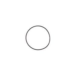 Кольцо резиновое O-Ring (48*1) RT-5277 поз.23