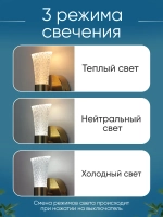 Светильник настенный светодиодный