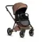Коляска 2 в 1 Tutis Mio 3+ Limited Edition Hoopoe Brown