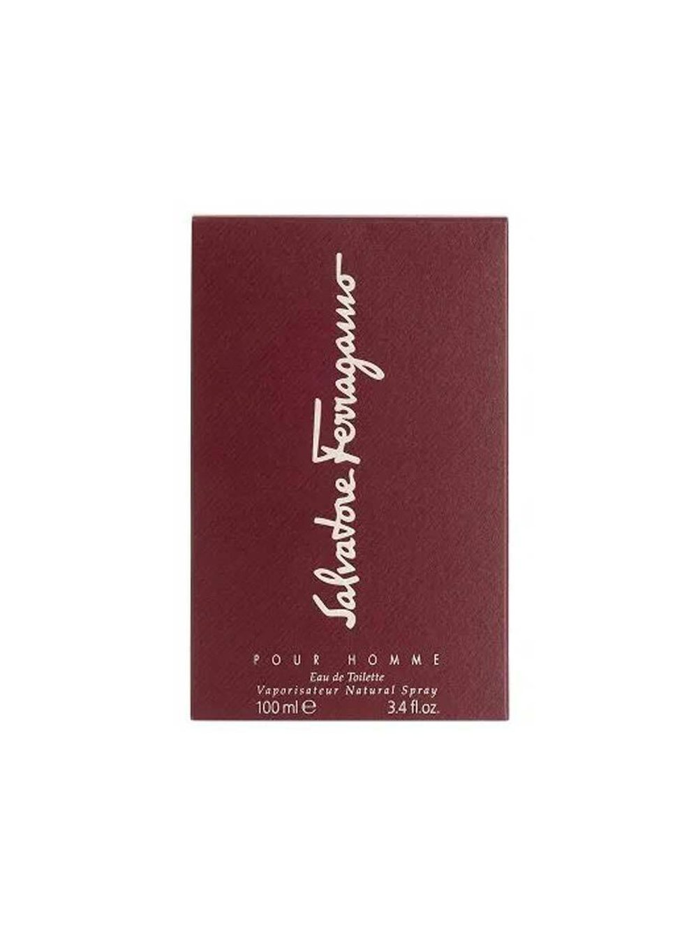 SALVATORE FERRAGAMO men 100ml edt