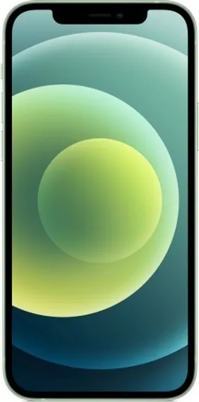 Apple iPhone 12 256GB Green (Зеленый)