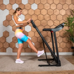 Беговая дорожка домашняя CARBON FITNESS T306 NEW