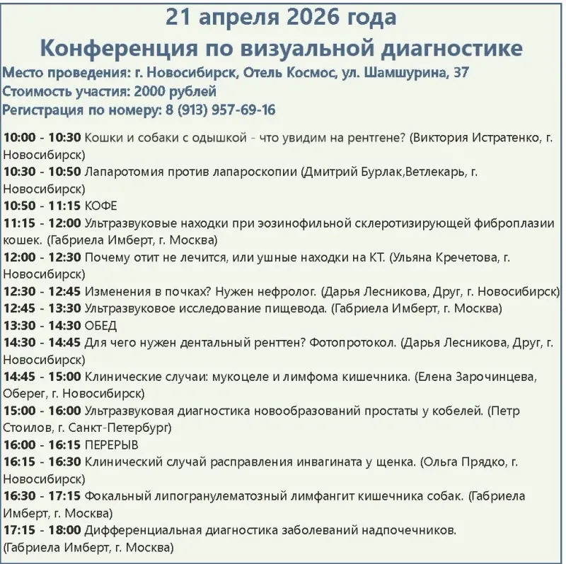 Конференция по визуальной диагностике