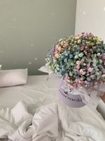 Композиция в коробке с радужной гипсофилой