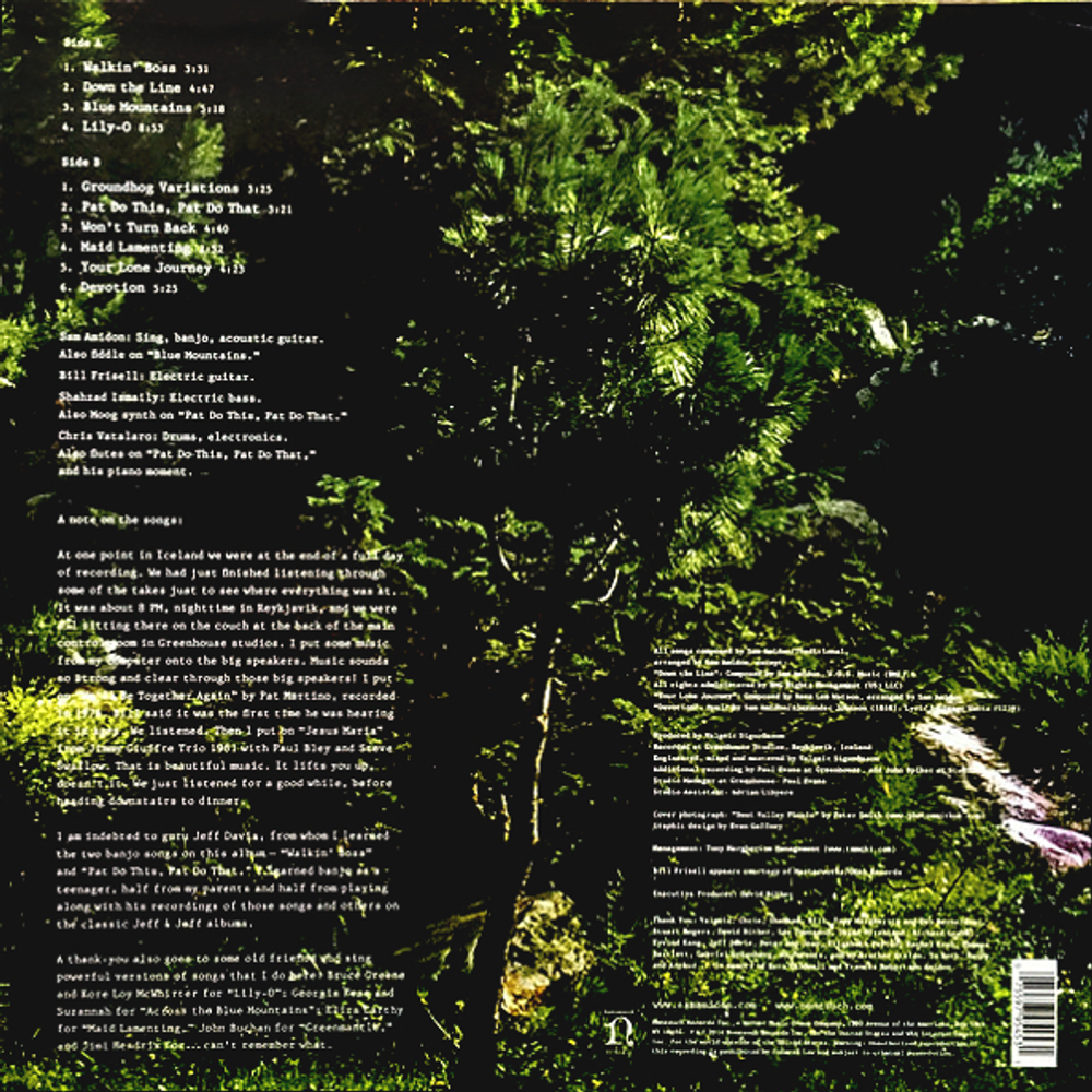Sam Amidon / Lily-O (LP)