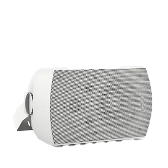 CVGAUDIO RF516TW настенная акустическая система