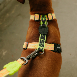 Поводок BIKR 120 см Zee.Dog