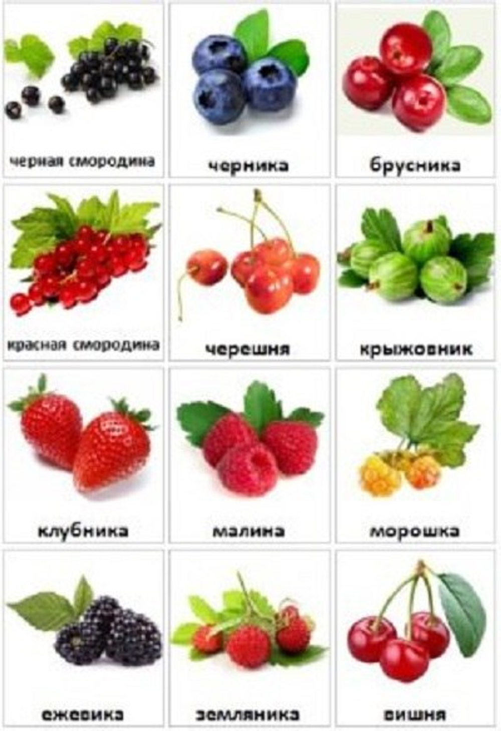 Карточки PECS "Ягоды"