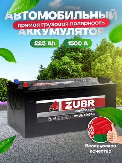 ZUBR Professional DOUBLE 225Ah R+