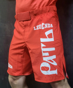 Шорты спортивные ММА LEGENDA Рать, красные