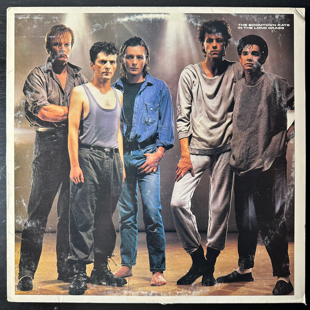 The Boomtown Rats ‎– In The Long Grass (США 1984г.)