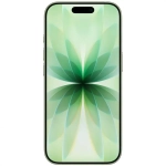iPhone 17 eSIM 256 ГБ, Sage (зеленый)