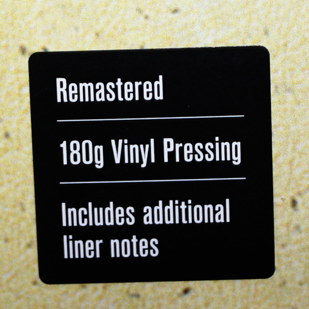 Jean-Luc Ponty / No Absolute Time (2LP)