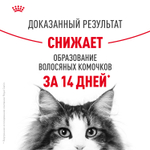 Royal Canin Hairball Care Хэйрболл Кэа Корм сухой для взрослых кошек профилактика образования волосяных комочков 400г