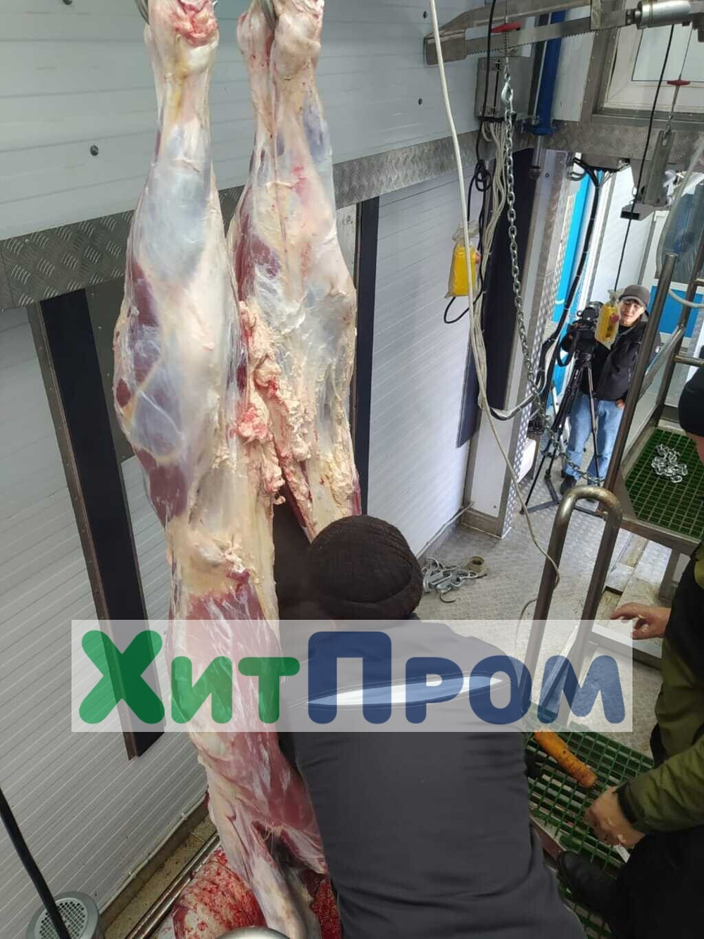 Передвижная линия убоя КРС до 10 голов/смена и МРС до 100 голов/смена. р.Тыва