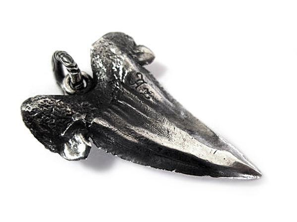 Подвеска серебряная Shark's Tooth AZP-024.