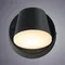 Настенный светильник уличный Chico A2212AL-1BK Arte Lamp
