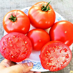Помидоры Астраханские Мясистые Розово-Красные