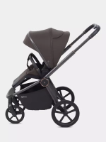 Коляска 2 в 1 Rant Flex Soft Therm Shine brown