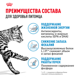 Royal Canin Indoor 7+ Корм сухой полнорационный сбалансированный для стареющих кошек (в возрасте от 7 до 12 лет), живущих в помещении - 1,5 кг