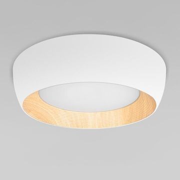 Потолочный светильник LED 30W 4000К 10255/500 White белый Folk LOFT IT