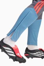 Штаны adidas Croatia 2026 Tiro Training - серый
