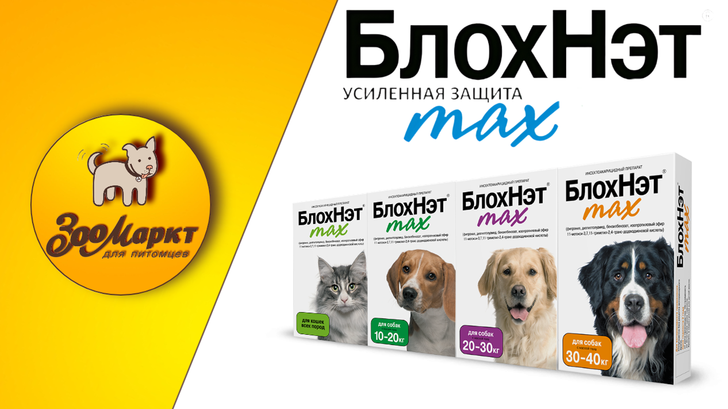 Акция препарат БлохНэт