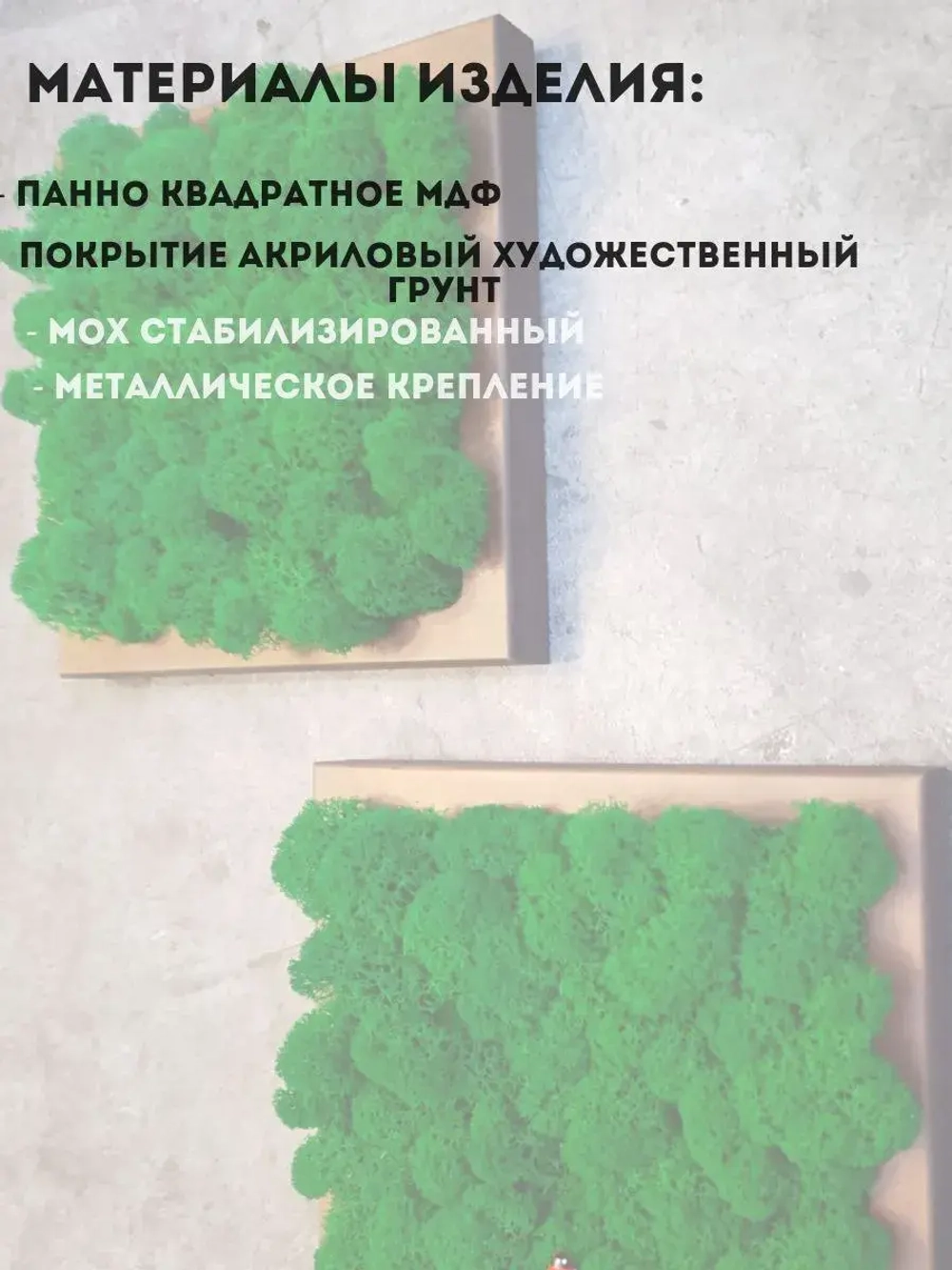 Панно из мха набор 3 шт.