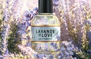 Bastide Aix en Provence Lavande in Love