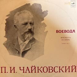 Виниловая пластинка П. И. Чайковский –Воевода (Фрагменты Из Оперы) 2LP 2LP Мелодия