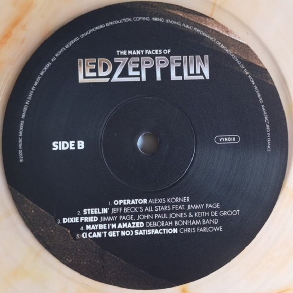 Various Artists / The Many Faces Of Led Zeppelin (A Journey Through The Inner World Of Led Zeppelin)(Limited Edition)(Coloured Vinyl)(2LP)