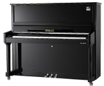 Wendl&Lung W126 PB