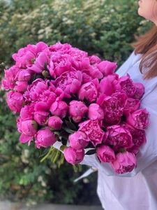 Сезонные цветы