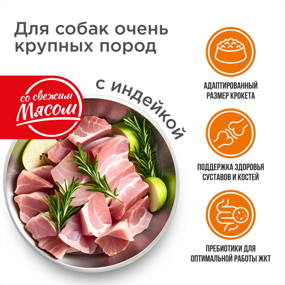 Корм сухой для взрослых собак очень крупных пород, премиум полнорационный сбалансированный, с индейкой, 12 кг, QUATTRO