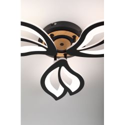 Светильник потолочный светодиодный Rivoli Lana 6195-703 LED 3000-6250К 60 Вт с пультом | Rivoli