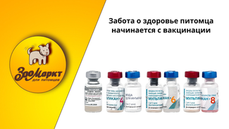 Вакцины для питомцев