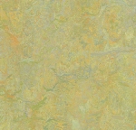marmoleum vivace