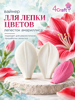 Вайнер лепесток Амариллиса