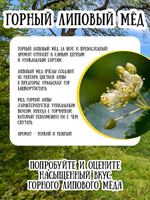 Мёд натуральный горный липовый, 300 г