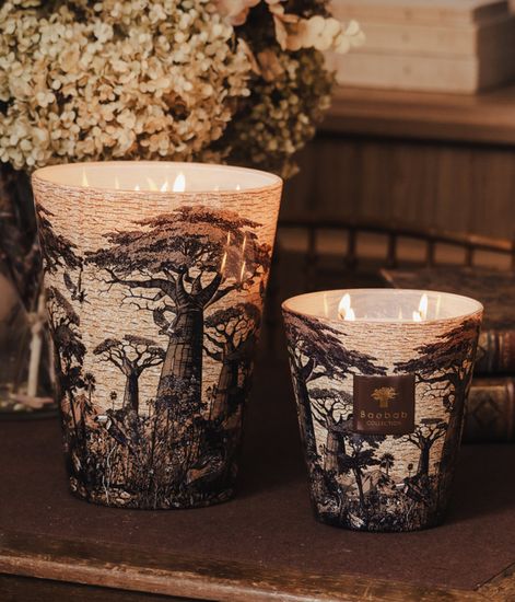 Mankono, свеча MAX 24 Sacred Trees collection, Baobab Collection
