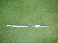 DSCN8768.JPG