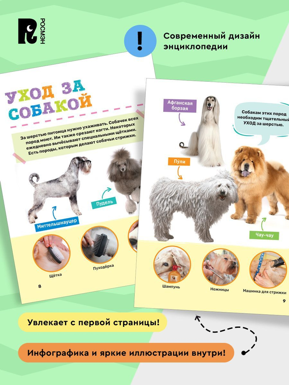 Домашние питомцы. Первая энциклопедия малыша