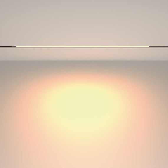 Трековый светильник Maytoni Technical EXILITY Basis TR231-2-15W3K-B